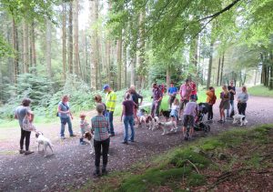 Dornells water stop